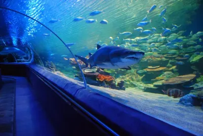 Un tunnel de verre avec des requins nageant au-dessus, à l'intérieur de l'aquarium d'Istanbul